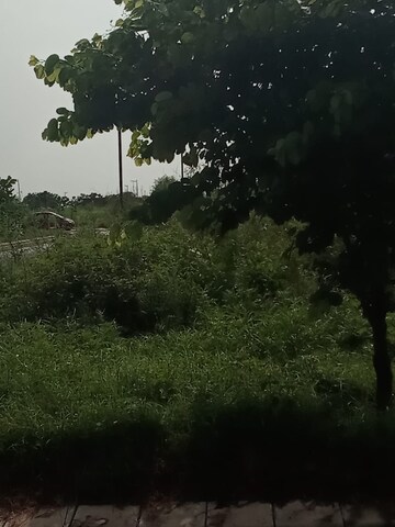 Plot Area in  Plot at Altus Prime, North Mullanpur – for Sale