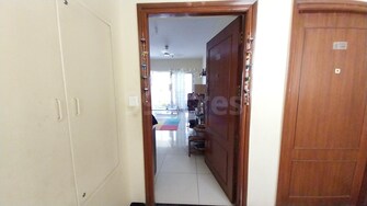 3 BHK Apartment For Rent in HM World City Jp Nagar Bangalore  7554049