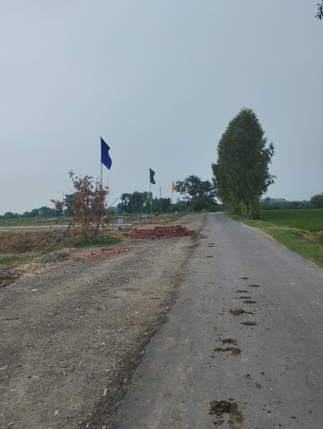Plot Area in  Plot at Altus Prime, North Mullanpur – for Sale