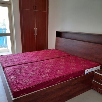 3 BHK Apartment For Rent in Paarth Aadyant Gomti Nagar Lucknow  7554714