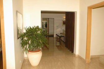 3 BHK Apartment For Resale in Parsvnath Exotica Sector 53 Gurgaon  7554799