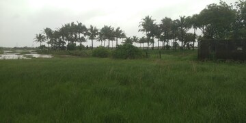 Plot Area in  Plot at Pen – for Sale
