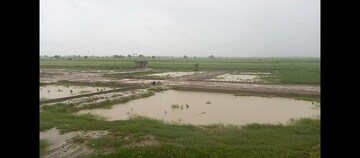  Plot For Sale in Jewar