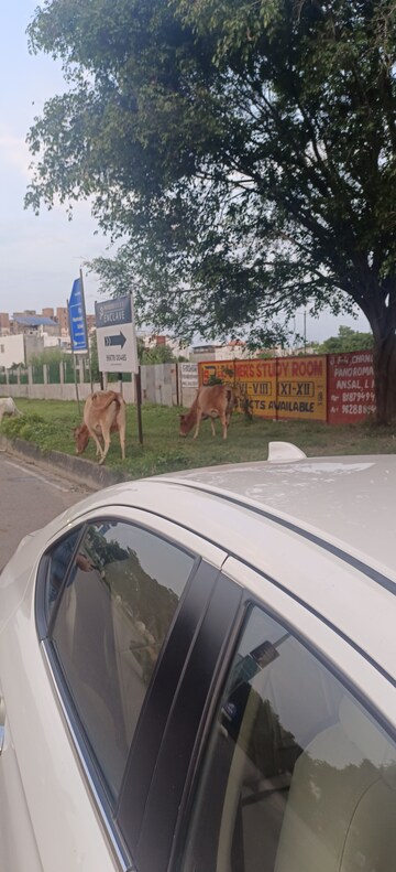  Land – Exterior View View at Ansal Sushant Golf city, Sushant Golf City - for Sale