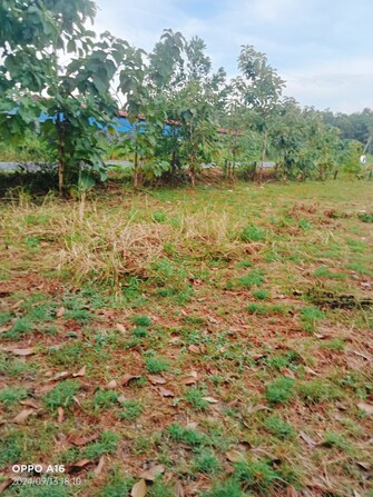 Plot For Resale in Brahmavar Udupi  7555175