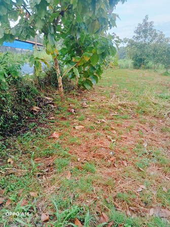 Plot For Resale in Brahmavar Udupi  7555175