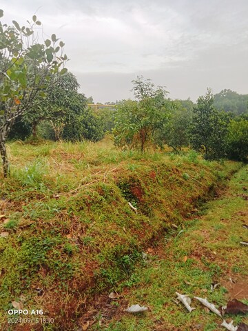 Plot Area in  Plot at Brahmavar – for Sale