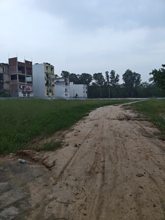 Plot For Resale in Sarin Farm CHS Habibpur Greater Noida  7555356