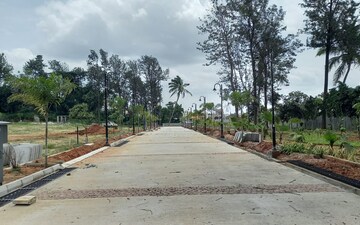 Plot For Sale in Narasapura