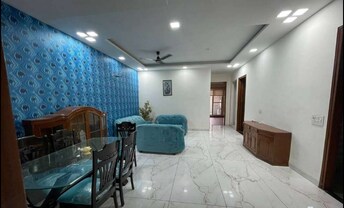 3 BHK Apartment For Rent in Skylar Homes Patiala Road Zirakpur  7555993