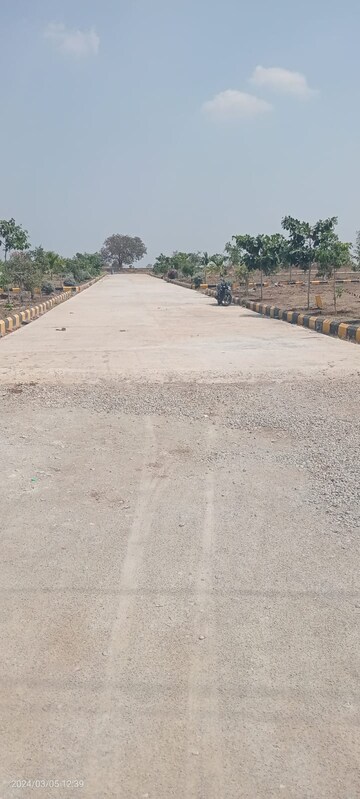 Plot Area in  Plot at Peddapur – for Sale