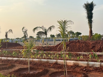 Plot For Resale in Sri Bhumi Eeshaanya Kankipadu Vijayawada  7556223