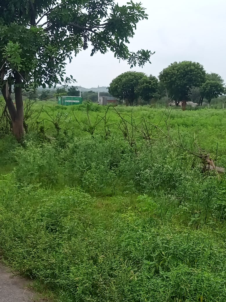 Plot For Sale in Manglam Foresta 