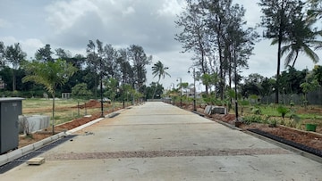 Plot For Resale in Hoskote Malur Road Bangalore  7556328