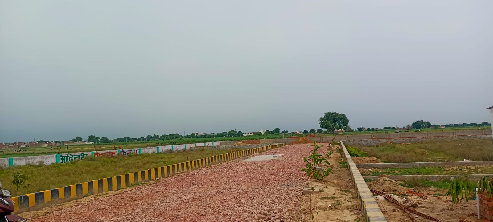 Plot For Resale in Sector 16 Faridabad  7556476