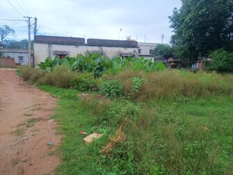 Plot For Resale in Netajinagar Ranchi  7556513