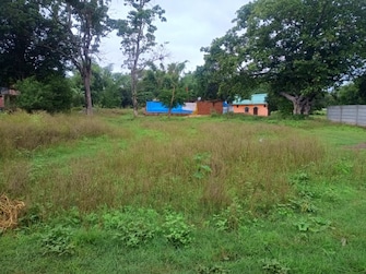 Plot For Resale in Netajinagar Ranchi  7556513