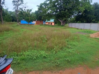 Plot For Resale in Netajinagar Ranchi  7556513