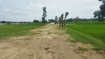  Plot For Sale in Gosainganj