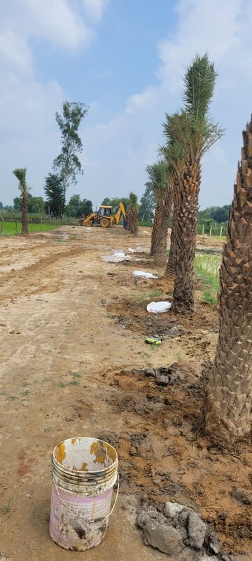 Plot Area in  Plot at Gosainganj – for Sale