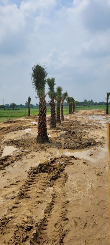 Plot Area in  Plot at Gosainganj – for Sale