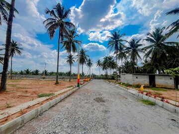 Plot For Resale in Dodda Aalada Mara Road Bangalore  7557652