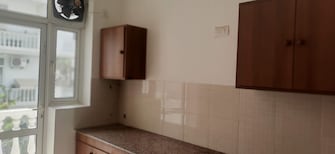 3 BHK Apartment For Rent in DLF Hyde Park South Mullanpur Chandigarh  7557919