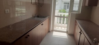 3 BHK Apartment For Rent in DLF Hyde Park South Mullanpur Chandigarh  7557919