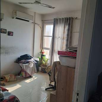 3 BHK Apartment For Rent in Tulip White Sector 69 Gurgaon  7558173