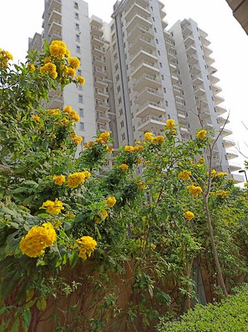 2 BHK Apartment – Exterior View View at Godrej Summit, Sector 104 - for Sale