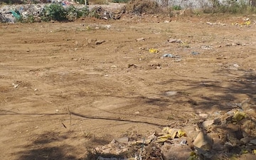 Industrial Plot For Sale in Sector 155