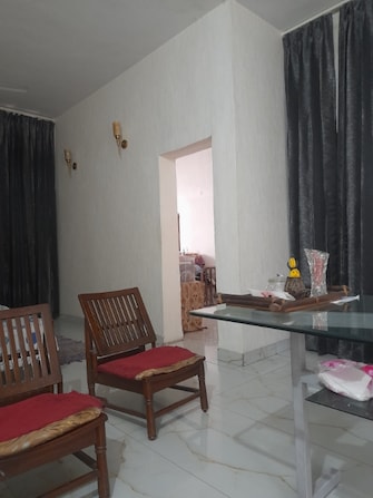 3 BHK Apartment For Rent in Sector 51 Chandigarh  7559099