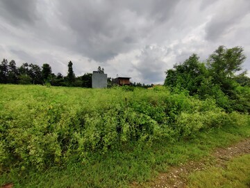 Plot For Sale in Raipur