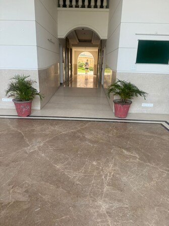 4 BHK Apartment For Rent in Kharar Road Mohali  7559740