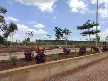  Plot For Sale in Budhera