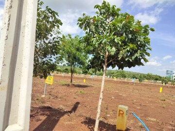 Plot Area in  Plot at Budhera – for Sale