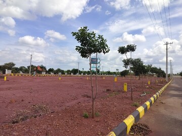 Plot Area in  Plot at Budhera – for Sale