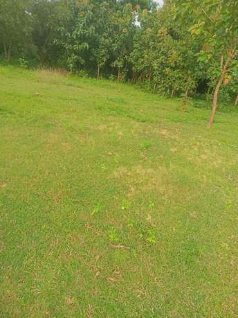 Plot For Resale in Bhogapuram Vizag  7560458