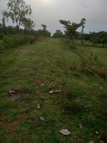 Plot Area in  Plot at Bhogapuram – for Sale