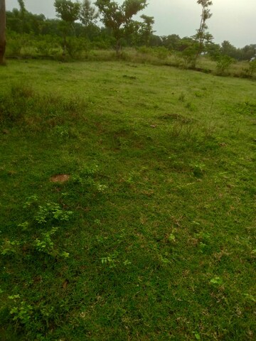  Plot – Garden View at Bhogapuram - for Sale