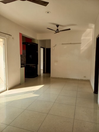 2 BHK Apartment For Resale in Ajnara Daffodil Sector 137 Noida  7560827