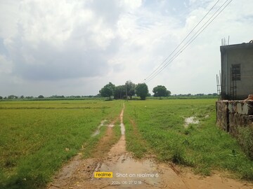 Plot Area in  Land at Bawal – for Sale