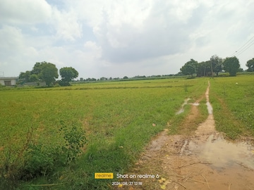 Plot Area in  Land at Bawal – for Sale