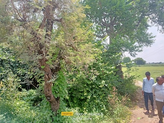 Commercial Land 16 Acre For Resale in Bawal Rewari  7560926