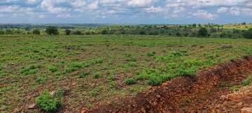 Plot Area in  Plot at Wanaparthy – for Sale