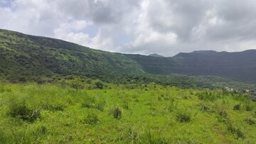 Plot Area in  Plot at Shivajinagar – for Sale