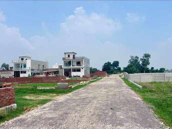 Plot For Resale in Niralanagar Lucknow  7561183