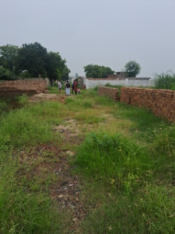  Plot – Exterior View View at Sultanpur - for Sale