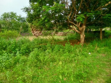  Plot – Garden View at Bheemili - for Sale