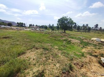 Commercial Land 12 Acre For Resale in Narsapura Bangalore  7561843